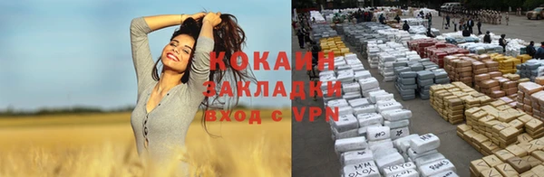 крисы Касимов