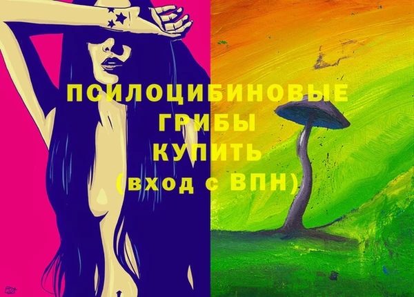 крисы Касимов
