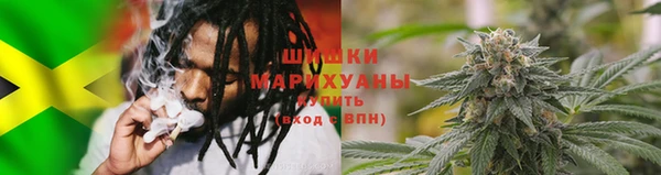 крисы Касимов