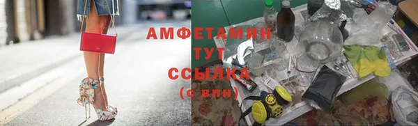 первитин Каменка