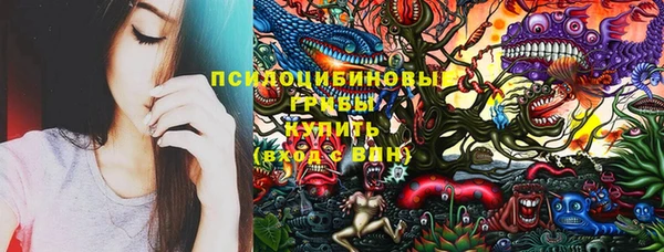 первитин Каменка