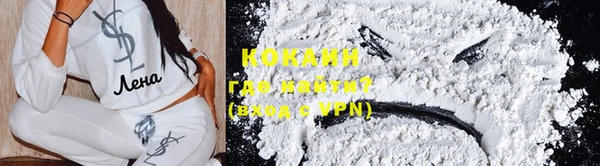 крисы Касимов
